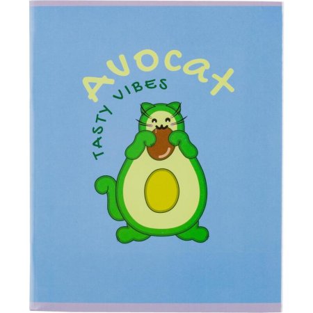 Тетрадь общая Avocat А5 48 листов в клетку на скрепке обложка синяя  ВД-лак