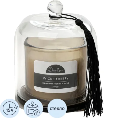 Свеча ароматическая в стакане Вещицы Wicked Berry 11x8 см