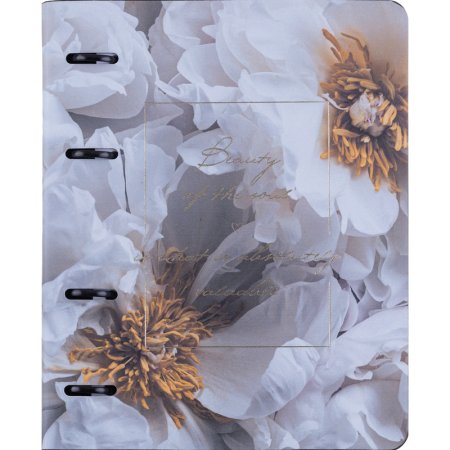 Тетрадь общая Infolio Study Beauty А5 120 листов в клетку на кольцах  (обложка с рисунком, с перфорацией, тиснение фольгой)