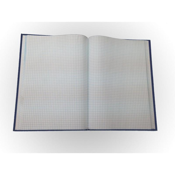 Книга учета бухгалтерская Attache (96 листов в клетку, офсет, обложка - бумвинил, 12 штук)