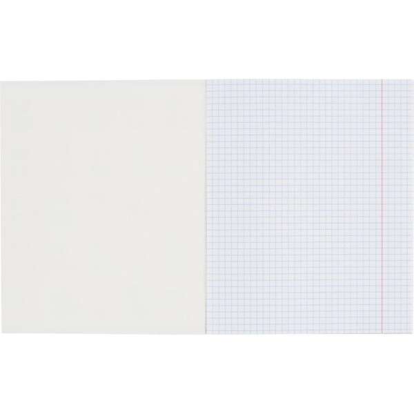 Тетрадь общая NFT Котики А5 48 листов в клетку на скрепке обложка с  рисунком ВД-лак