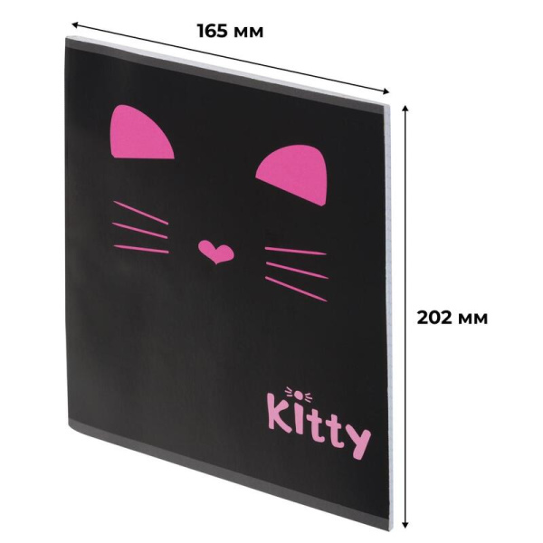 Тетрадь общая Kitty А5 48 листов в клетку на скрепке обложка черная  ВД-лак