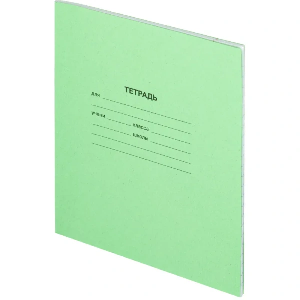 Тетрадь школьная зеленая А5 12 листов в крупную клетку