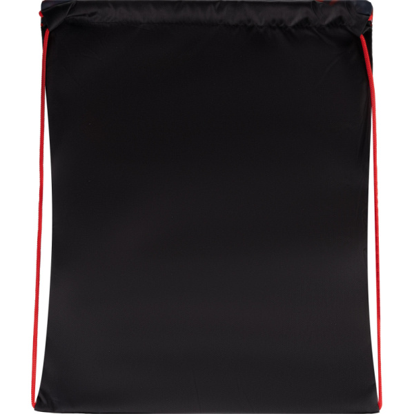 Сумка для сменной обуви цветная, ткань, СДС-3, SHARK ATTACK 2024