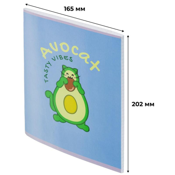 Тетрадь общая Avocat А5 48 листов в клетку на скрепке обложка синяя  ВД-лак