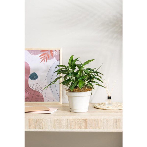 Горшок для цветов Mint 2.3 л бежевый (18.5x14.2 см)