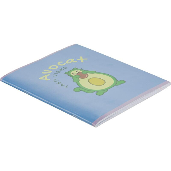 Тетрадь общая Avocat А5 48 листов в клетку на скрепке обложка синяя  ВД-лак