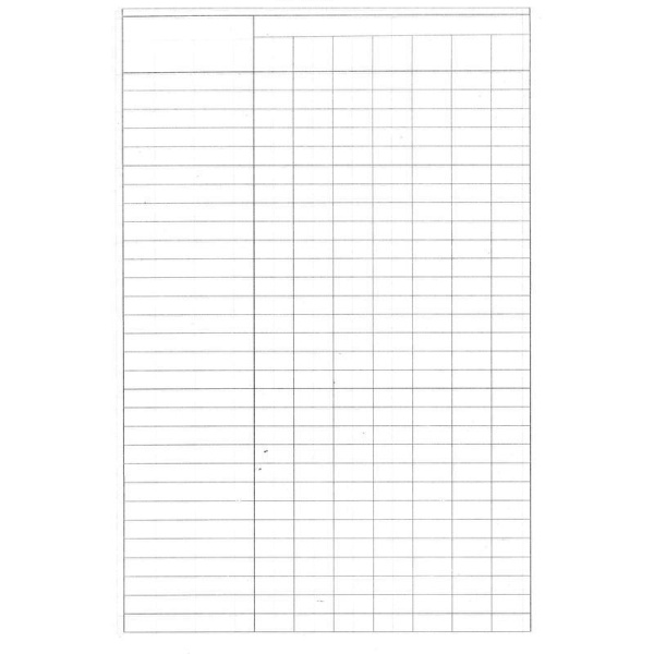 Бух книги учета 96л. пустографка, обл.картон 15шт./уп.