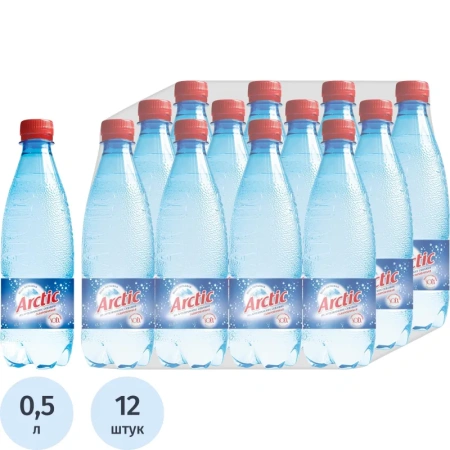 Вода питьевая Arctic газированная 0.5 л