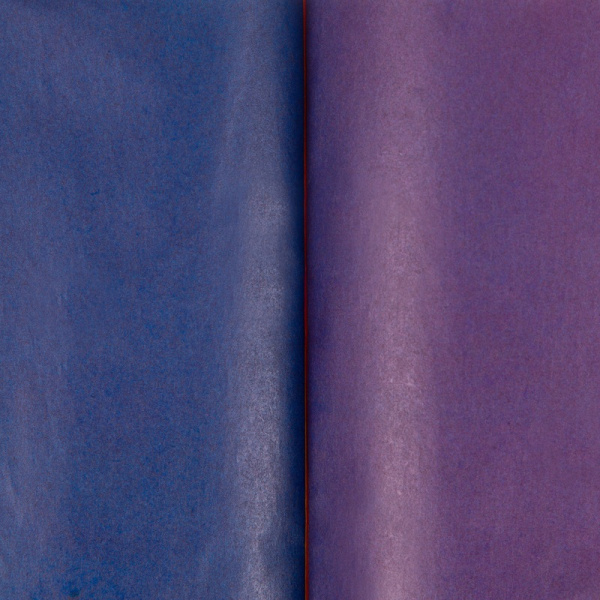 Бумага цветная Выбор есть (А4, 8 листов, 8 цветов, газетная)