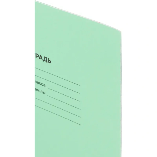 Тетрадь школьная зеленая А5 12 листов в частую косую линейку