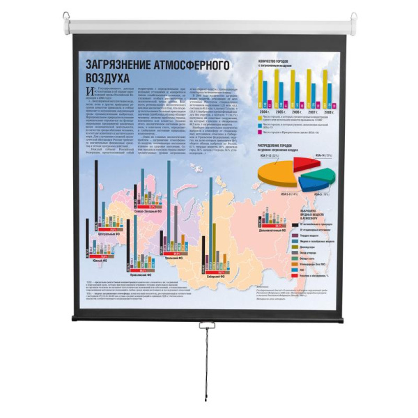 Экран для проектора Digis 240x180 (DSOD-4304)