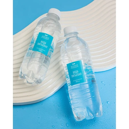 Вода питьевая Деловой Стандарт негазированная 0.33 л пэт