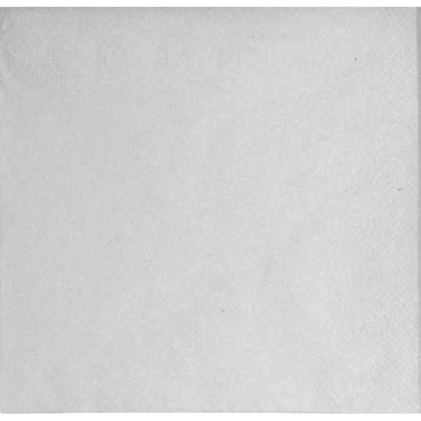 Салфетки бумажные сервировочные 2-слойные 24x24 см (100 листов в пачке)