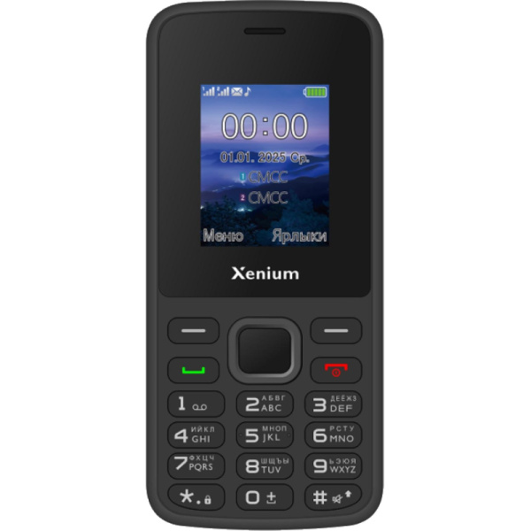 Мобильный телефон Xenium X175 чёрный (CTX175BK/00)