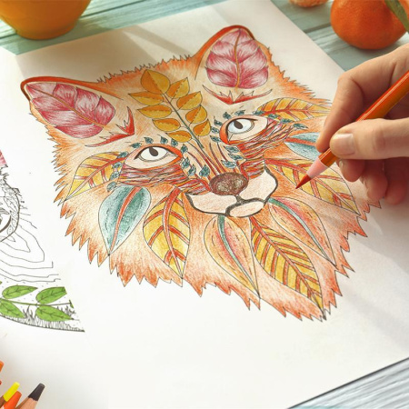 Карандаши цветные Deli липа 24 цвета круглые