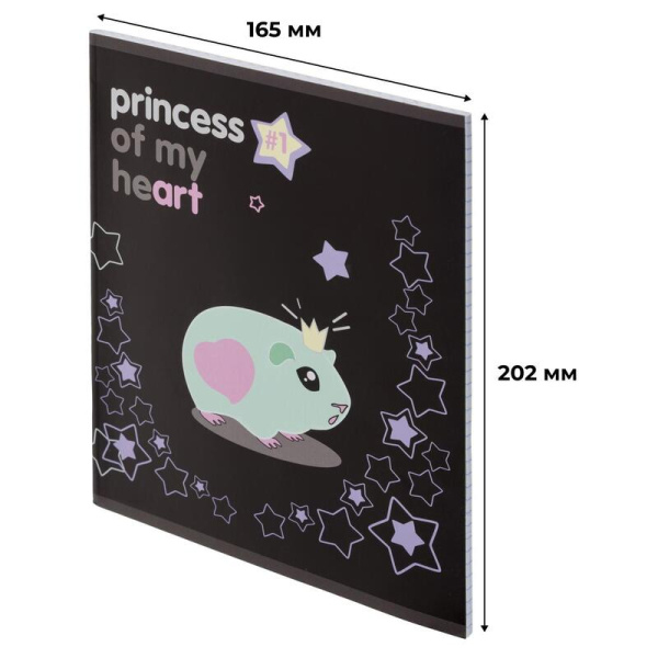 Тетрадь общая Princess А5 48 листов в клетку на скрепке обложка с  рисунком ВД-лак