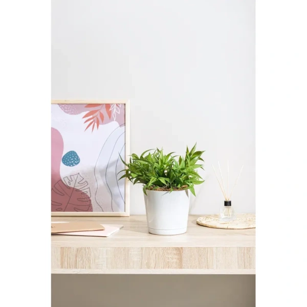 Горшок для цветов с поддоном Idiland Oregano 2 л мраморный (14.6x16 см)