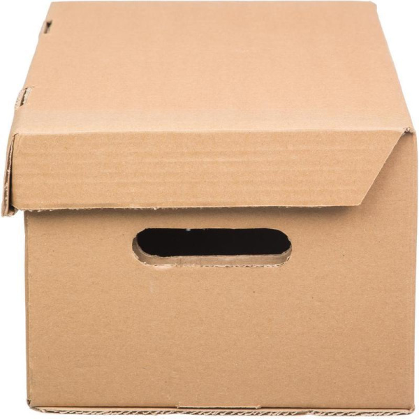 Короб архивный Делопроизводство А4 235x180x325