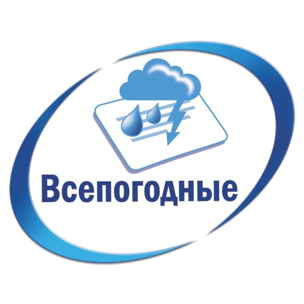 Этикетки самоклеящиеся Avery Zweckform для инвентаризации серебристые 96x50.8 мм (10 штук на листе, 20 листов, артикул производителя L6012-20)