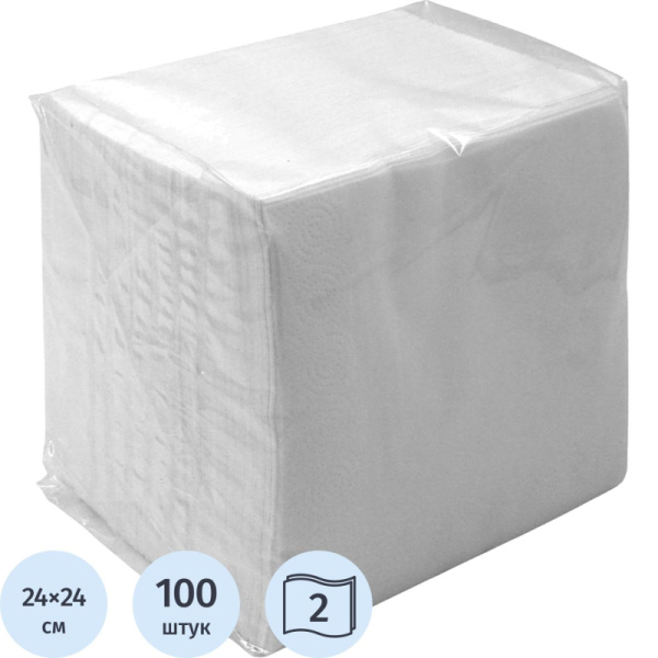 Салфетки бумажные сервировочные 2-слойные 24x24 см (100 листов в пачке)