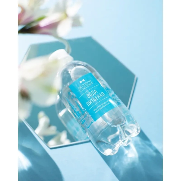 Вода питьевая Деловой Стандарт негазированная 0.33 л