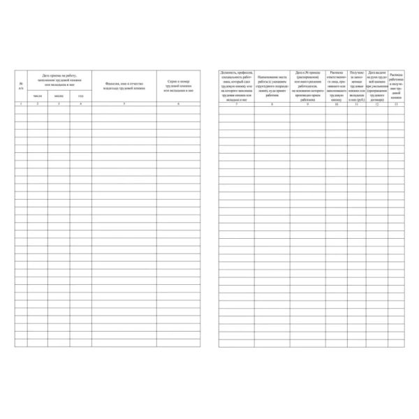 Книга учета 48 листов А4 на скрепках блок офсет (обложка из мелованного  картона)