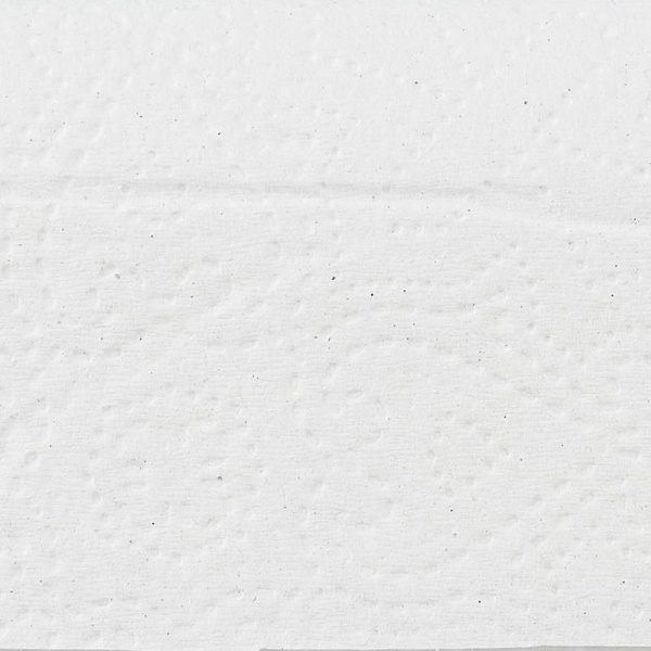 Полотенца бумажные листовые Luscan Economy Z-сложения 1-слойные 21 пачка по 190 листов (артикул производителя 1052061)