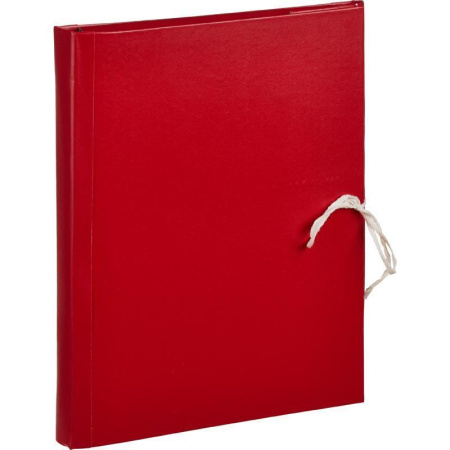 Папка архивная A4 (3см, c 2-мя завязками, бумвинил)