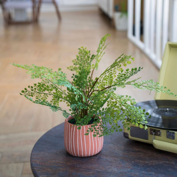 Цветок искусственный Папоротник курчавый Mia 11